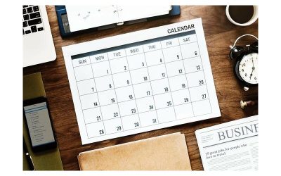 How to Become an Agile Business for the Long-Term